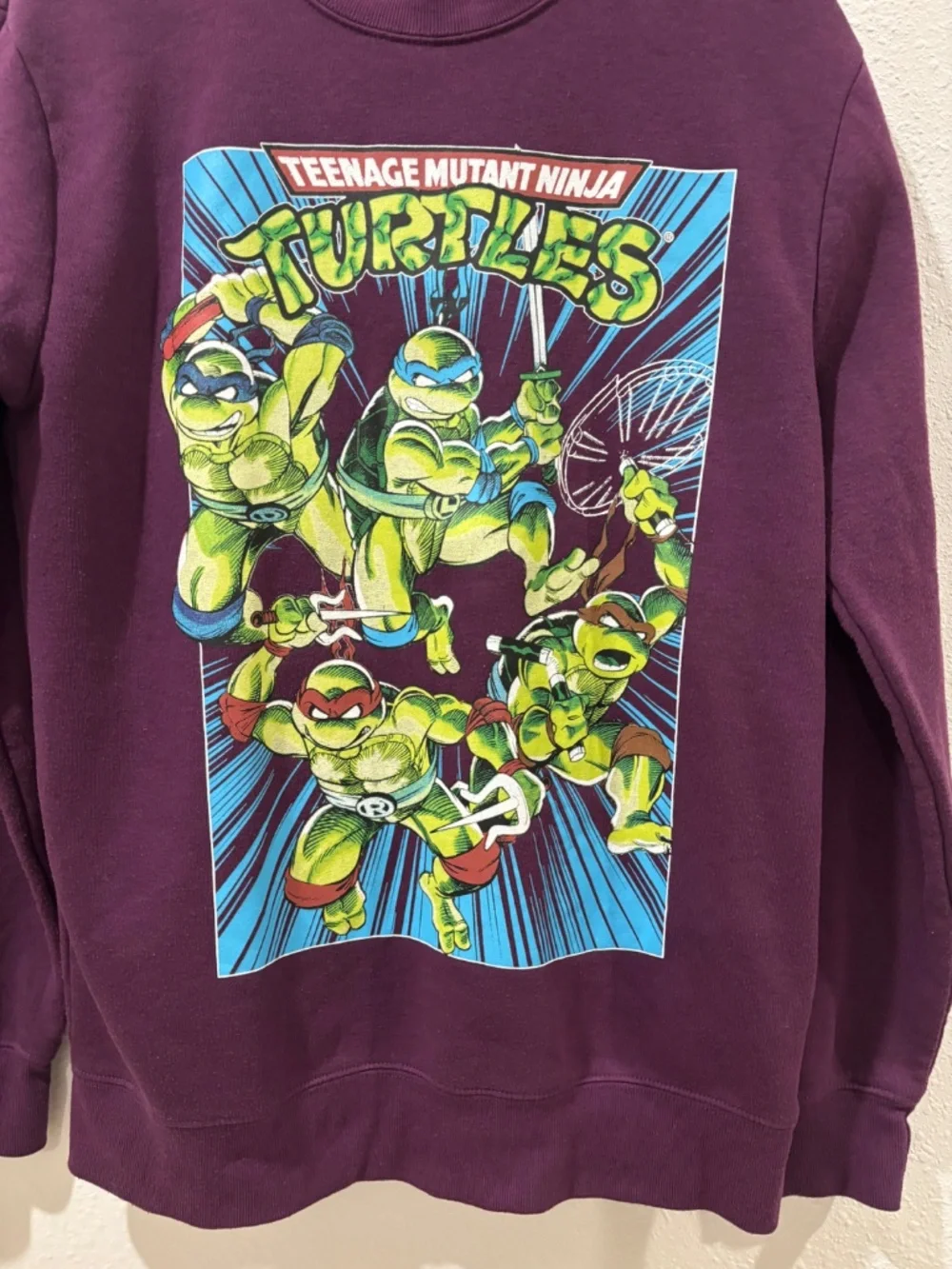 Teenage Mutant Ninja Turtles Mens Sweatshirt PURPLE SIZE S